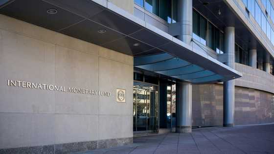 IMF lifts global growth forecast citing unexpected 'resilience'