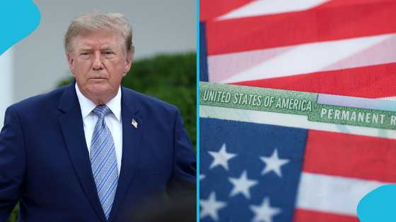 US Visas: Trump Administration Plans to Cancel 200,000 Business and Tourist Visas of Asylum Seekers