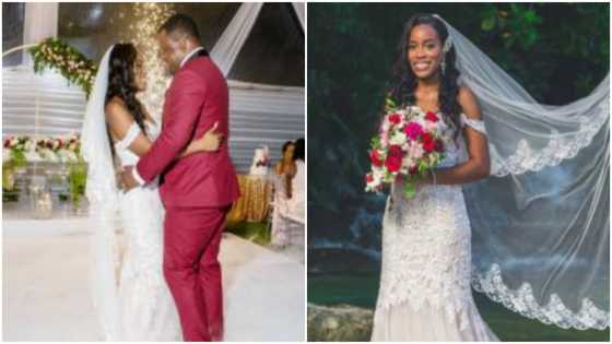 Couple who 1st met while attending law school goes from classmates to marry in beautiful wedding
