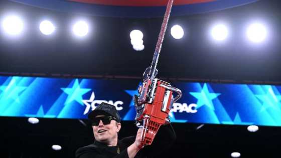 Moving fast and breaking everything: Musk's rampage through US govt
