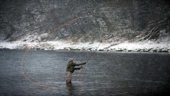 Fishermen lament plunge in Scottish wild salmon catch