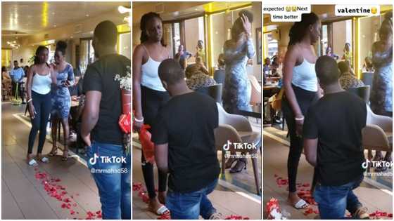 Valentine's Day: Lady rejects man’s love proposal at a restaurant, video sparks reactions