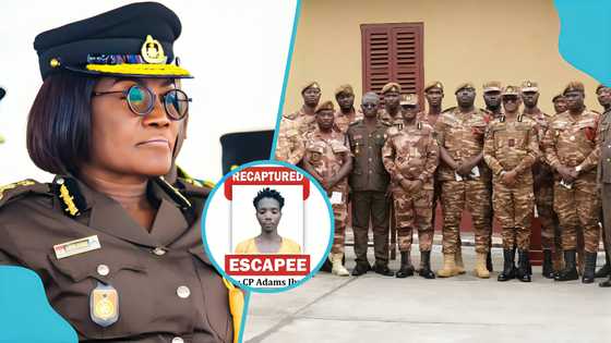 One escapee, 20 officers: Authorities honour team behind recapture