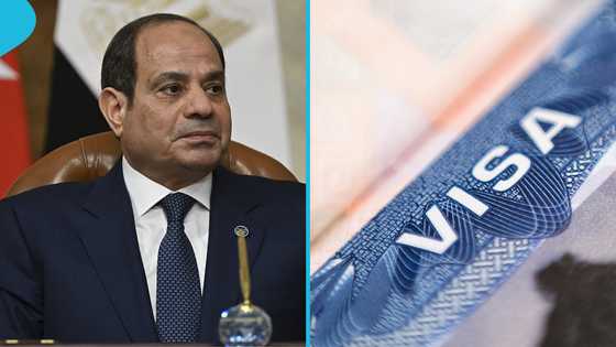Egypt launches e-visa on arrival system, explains how tourists can apply