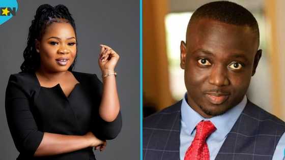 Abena Konadu Asante replaces the late Samuel Aboagye as Deputy NADMO Director