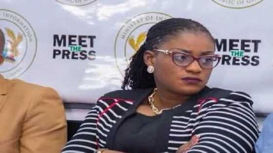 So far, so good: Akufo-Addo retains 8 deputy ministers from 1st term; shuffles 3