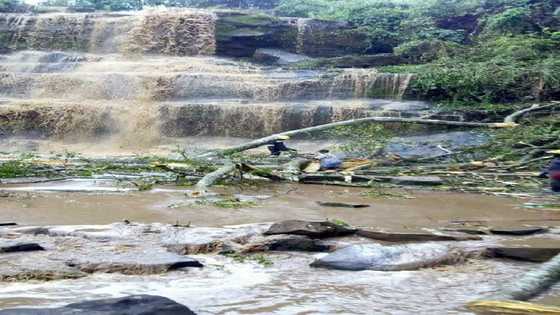 Kintampo waterfall disaster: 18 confirmed dead after tree accident