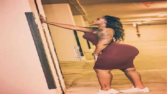 11 pictures that prove Matilda Hipsy is a national treasure