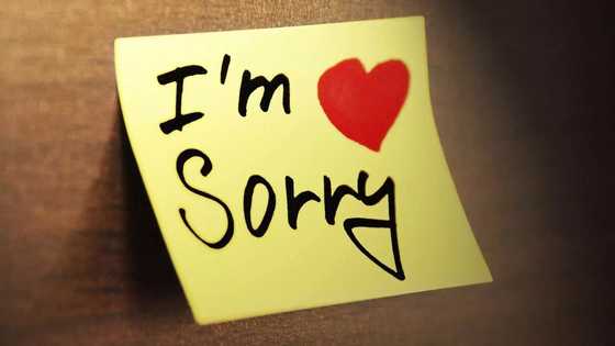 Romantic apology message for her
