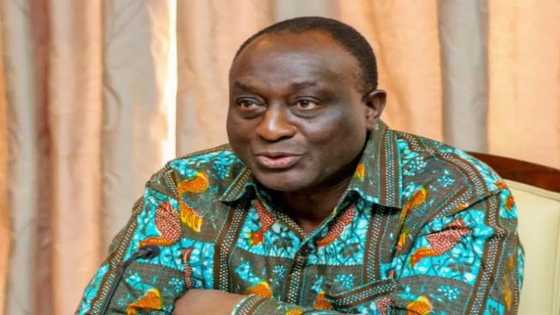 150k Ghanaians given jobs through 1D1F - Alan Kyeremanteng brags