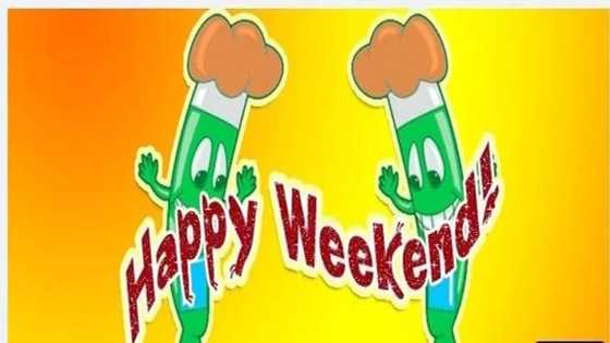 Happy weekend message, quotes, and wishes