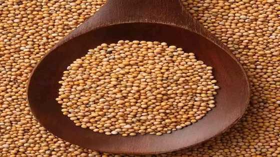 Mustard Seed Benefits and Side Effects