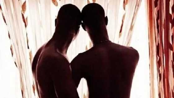 5 Ghanaian celebrities who are not afraid to voice their support for gay rights