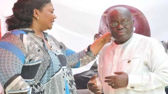 20 photos to celebrate Nana Addo and Rebecca Akufo-Addo's 20th wedding anniversary
