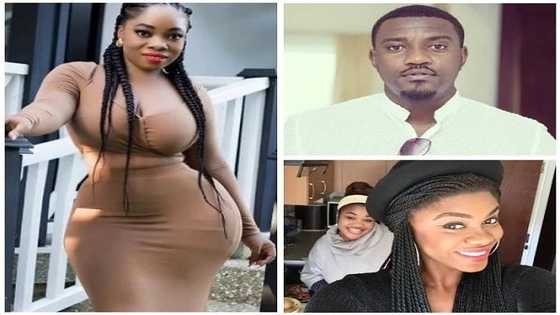 16 Ghanaian celebrities and the university degrees they hold: Moesha Boduong's will shock you!