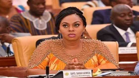 Adwoa Safo, MASLOC CEO 'hot' for sole-sourcing GHC28.8m contract