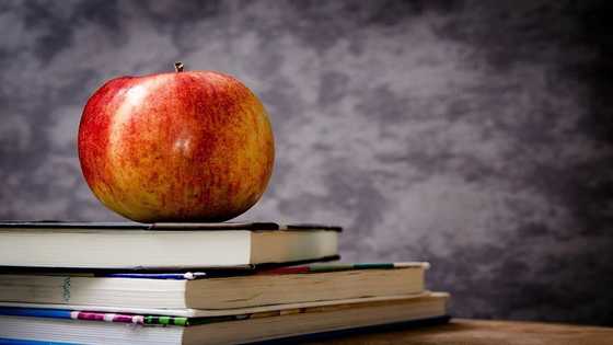 New JHS syllabus for social studies