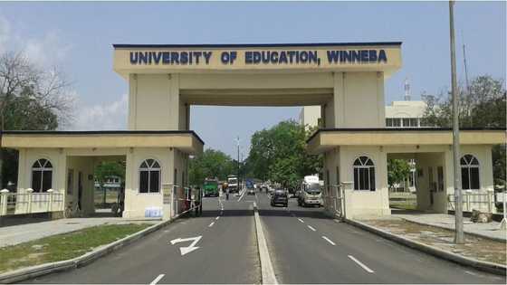 University of Education Winneba Courses and Cut Off Points
