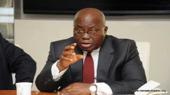 Nana Addo has just revealed the number of employees at the Jubilee House