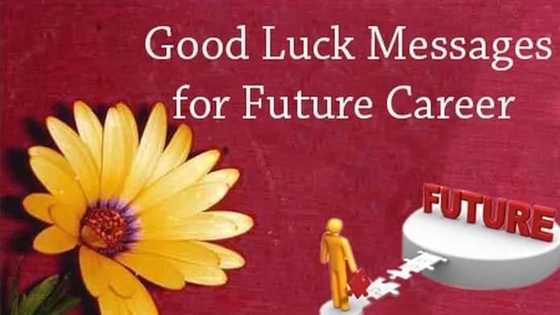 Best good luck messages and sayings for exams