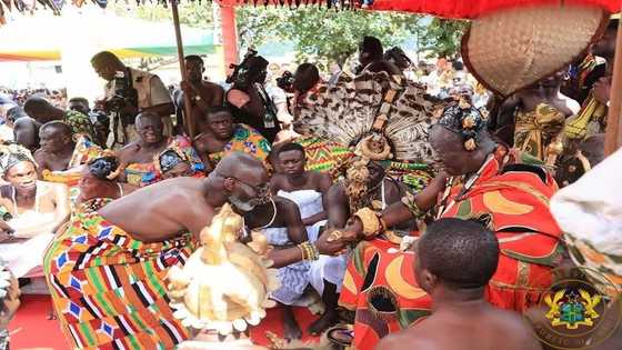 Gabby finally 'reconciles' with Otumfuo as he bows before him at Okyehene's durbar (Photo)
