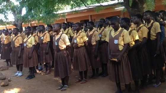 60-year-old woman with 10 children warms hearts on social media; eager to complete JHS and further her education (Video)