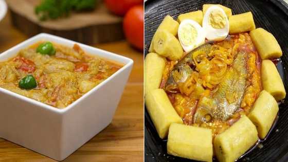 Recipe for Ghanaian garden egg stew