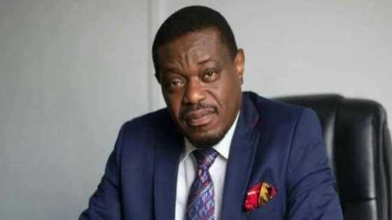 Kumawood movies are like concert party - Ekow Blankson