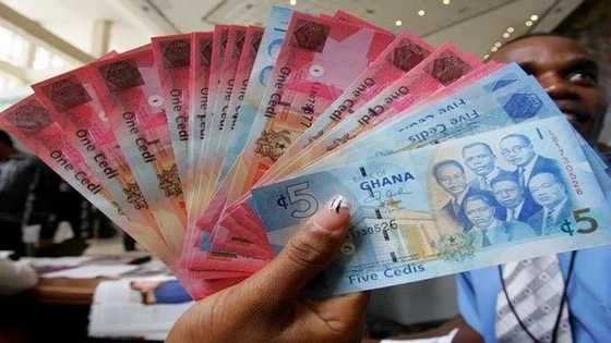Students loan defaulters 'to be prosecuted next month'