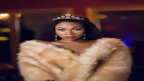 I don't care about Shatta Wale's stories anymore - Michy drops bombshell