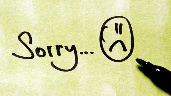 Simple ways on how to write a good letter of apology