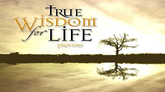 African proverbs about life
