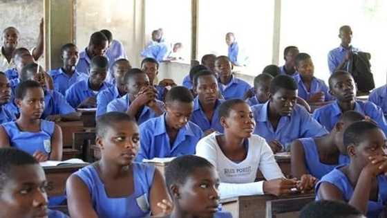 WAEC releases 2016 WASSCE results. See how students performed