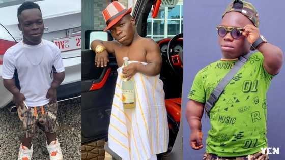 Lagos jollof is better than you - Shatta Bandle jabs Akufo-Addo; tells him to #FixTheCountry