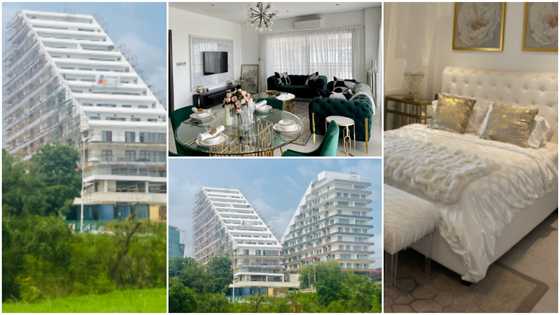The Signature apartments: Inside the 13-floor building with a movie theatre, spa, studios, other plush amenities