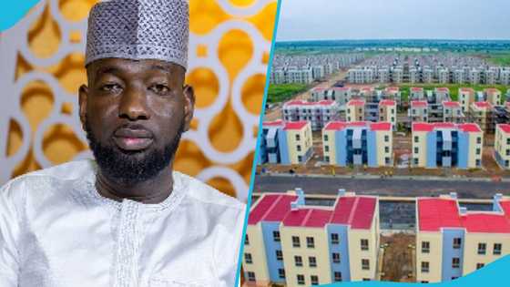 Young business mogul makes public bid for Saglemi Housing Project: "I'll transform it into comfortable homes"