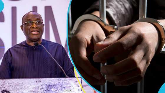 Alan advocates for life imprisonment for illegal miners: "Current punishment not deterrent enough"