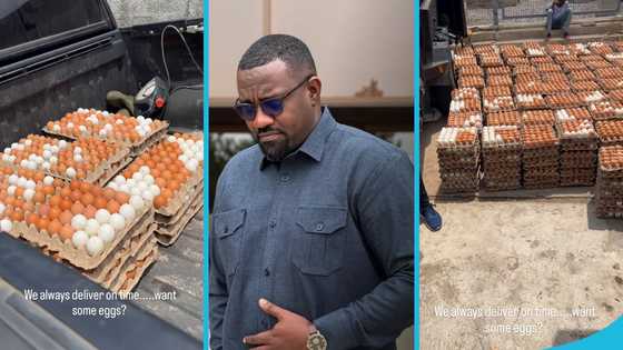 Dumelo flaunts over 500 egg crates that the chicks he bought in Jan have produced, video awes many
