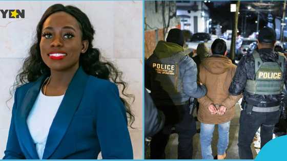 Trump Mass Deportation: Ghanaian immigration lawyer in US lists 5 groups as targets for ICE raids