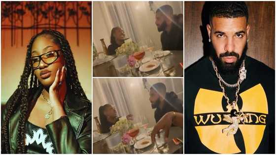 Singer Tems and Canadian rapper Drake spotted eating together in new video