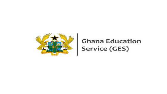 All you need to know about the GES promotion portal