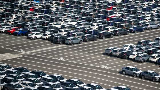 Japan warns of 'significant impact' from US tariffs