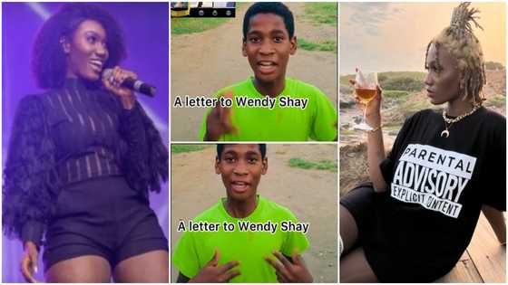 Young TikToker Sends Touching Message To Wendy Shay; Begs Her For New Phone