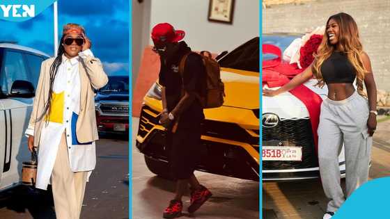 Stonebwoy, Fella, Shatta Wale and 3 rich Ghanaian celebs who got expensive cars in 2024, videos drop