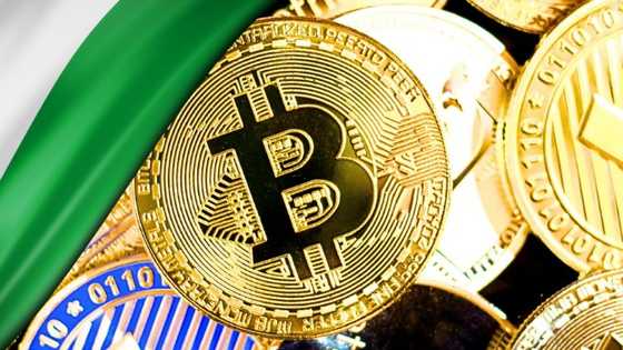 The Future of Cryptocurrency in Nigeria: Why Bitcoin, USDT, Ethereum, and Litecoin Matter