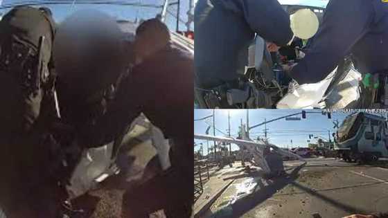 Police Officers Courageously Pull Pilot Out of Crashed Plane Seconds Before Oncoming Train Slams into Wreckage