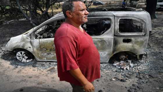 Deadly wildfires contained in Algeria