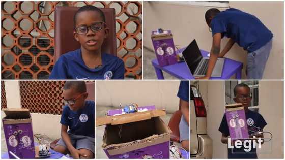 Talented boy builds automatic trash can with paper and batteries, showcases it in video