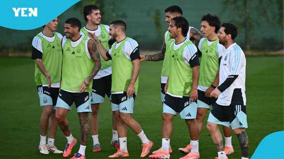 Argentina faces World Cup blow after red-hot striker suffers serious injury at training