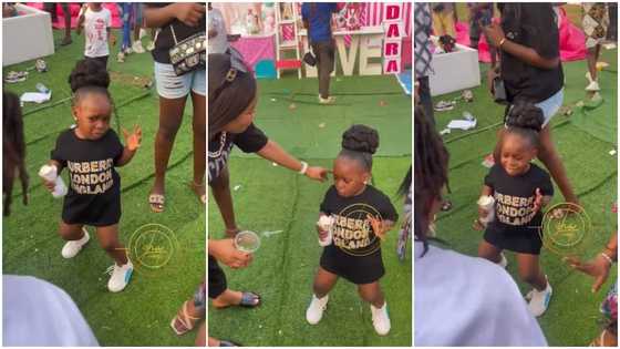 Where did she learn it from? Little girl shows off zazu viral dance moves in video, adults gather around her